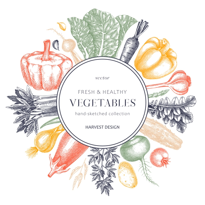 Hand-sketched Vegetable frame in color. Hand-drawn tomatoes, squashes, peppers, potatoes, asparagus and other vegetables drawings. Healthy food background for menu, recipe, restaurant, packaging
